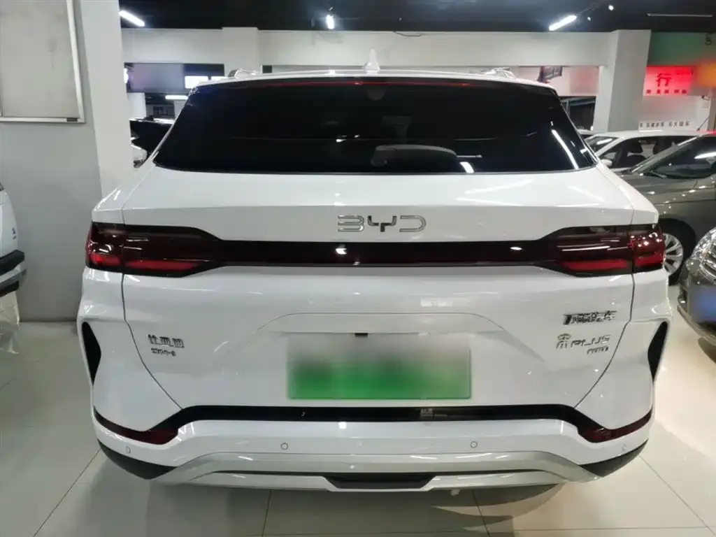 BYD PLUS New Energy — фото 8