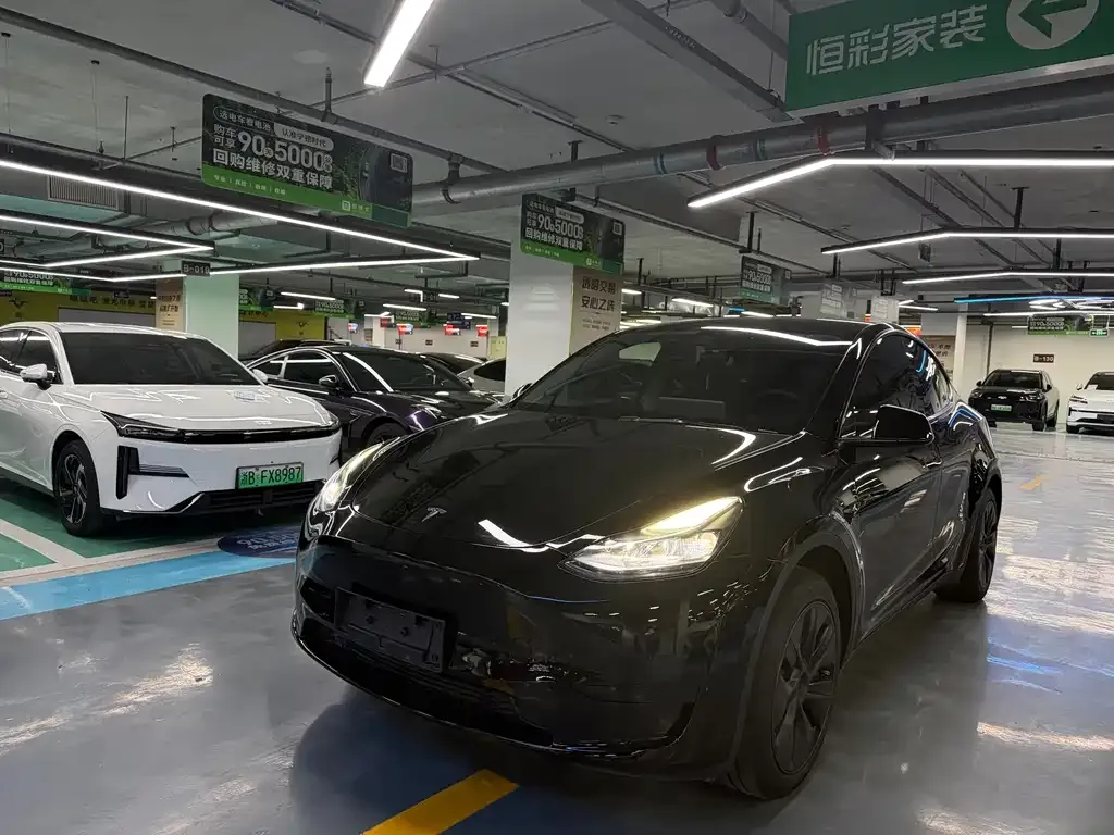 Tesla Model Y — фото 1