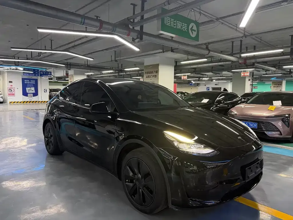 Tesla Model Y — фото 10
