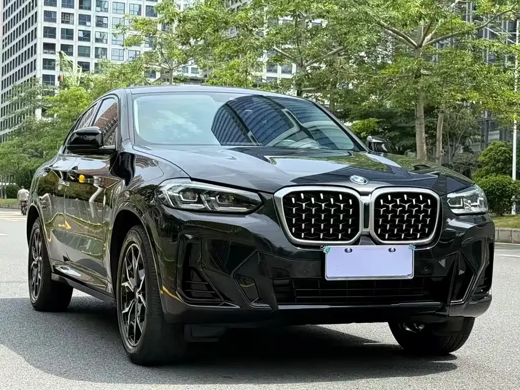 BMW X4 — фото 10