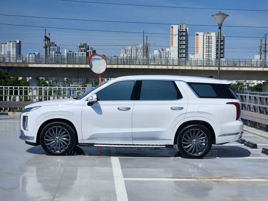 Hyundai Palisade — фото 8