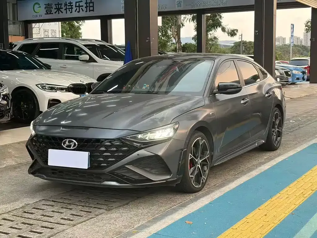 Hyundai Fista — фото 1