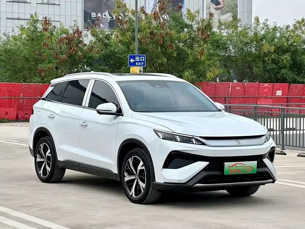 BYD Pro New Energy — фото 4