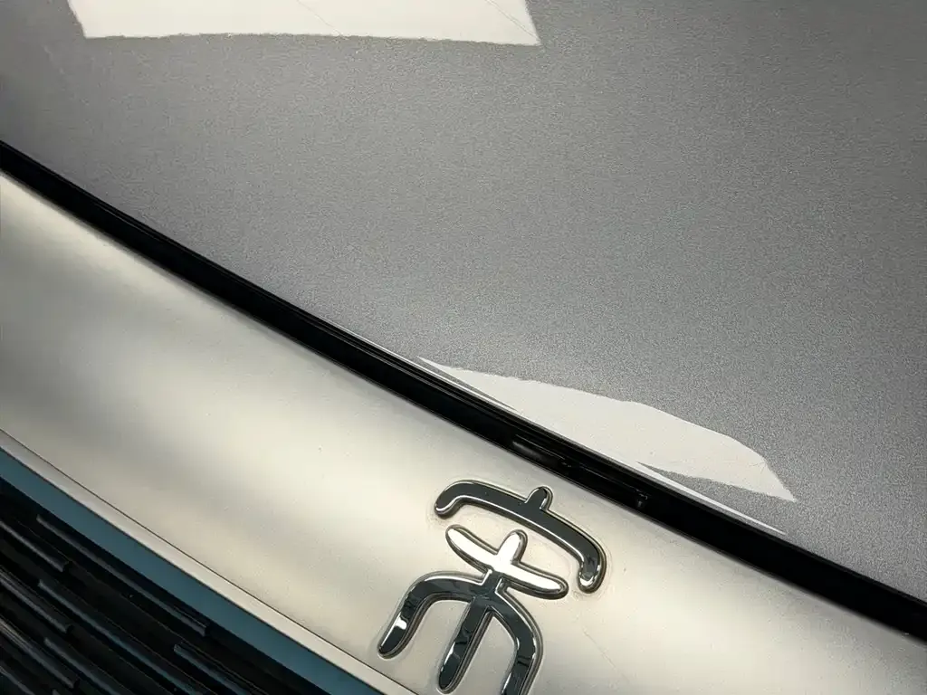 BYD PLUS New Energy — фото 7