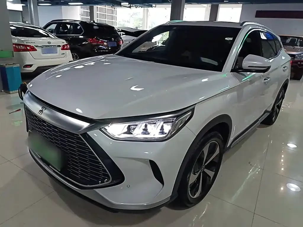 BYD PLUS New Energy — фото 2