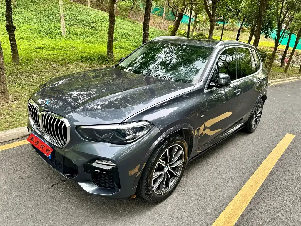 BMW X5 (Import) — фото 6