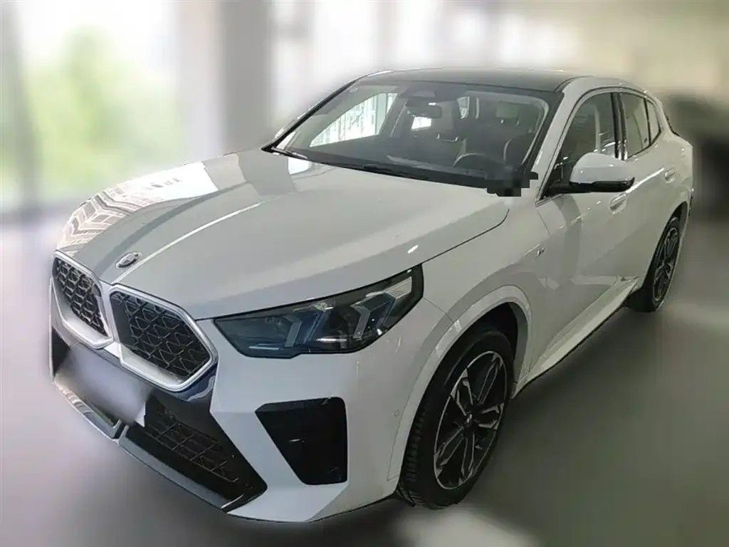 BMW X2 (Import) — фото 1