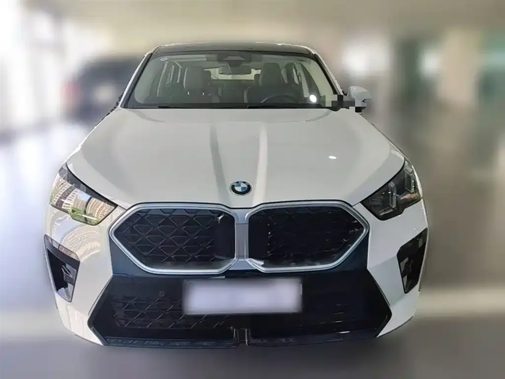BMW X2 (Import) — фото 2