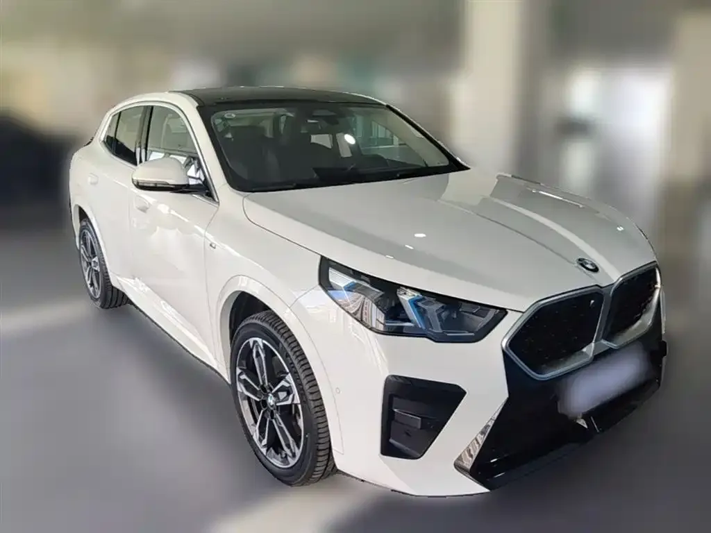 BMW X2 (Import) — фото 10