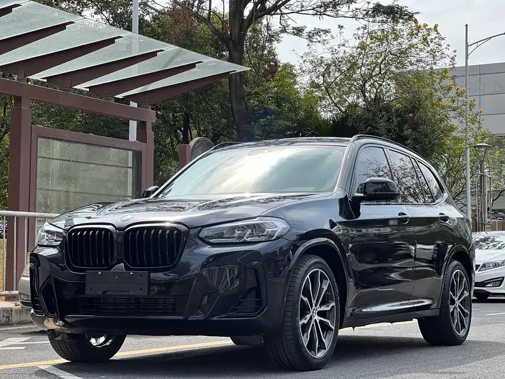 BMW X3 — фото 1