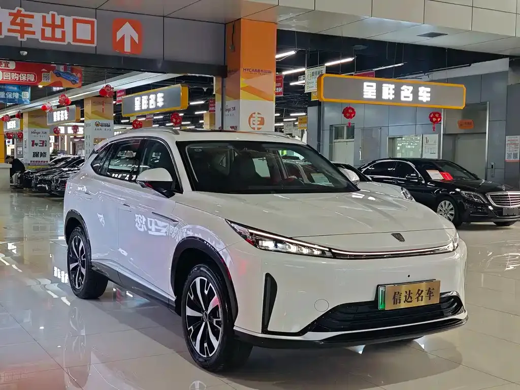 Roewe D5X DMH — фото 8