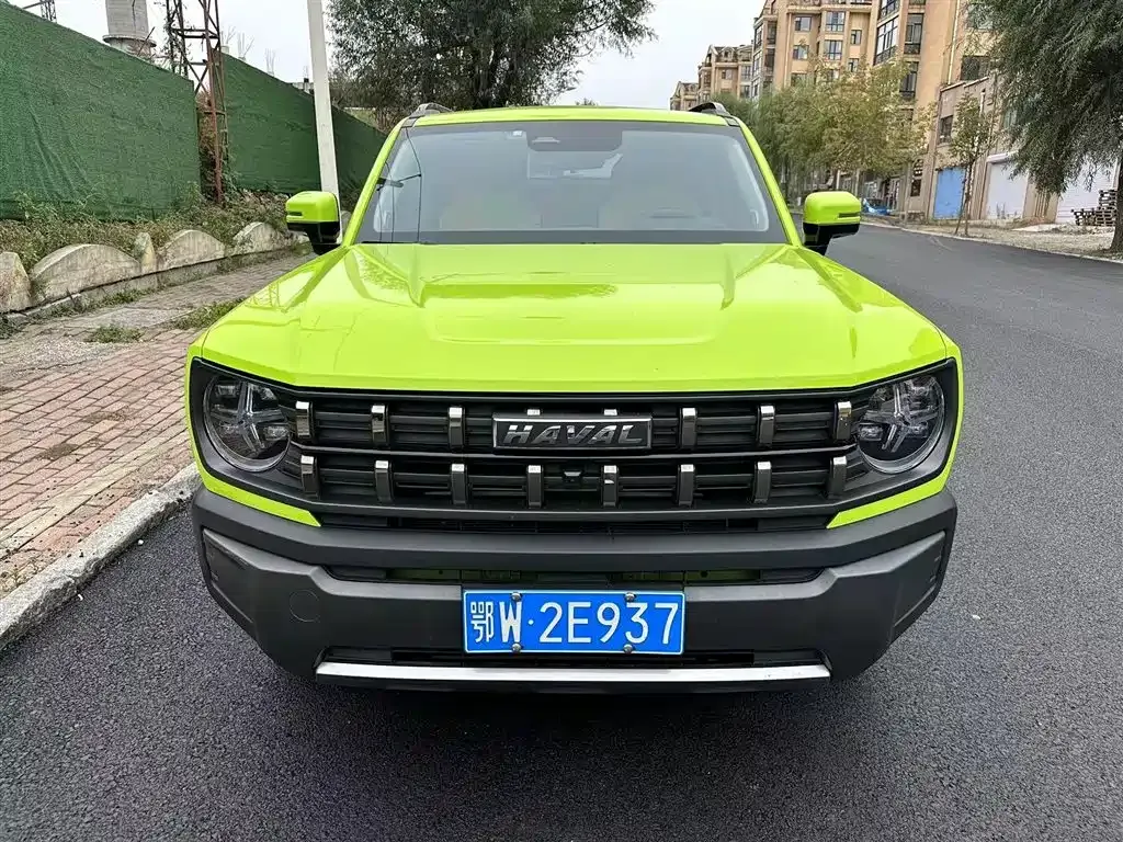 Haval Cool Dog — фото 9
