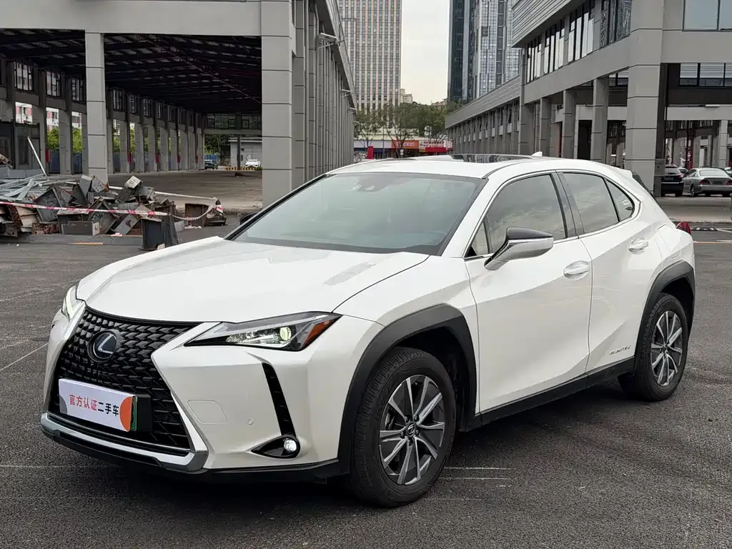 Lexus UX New Energy — фото 1
