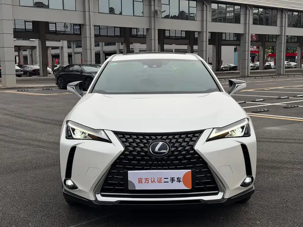 Lexus UX New Energy — фото 4