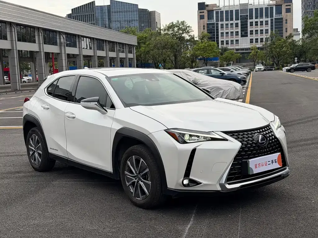 Lexus UX New Energy — фото 10