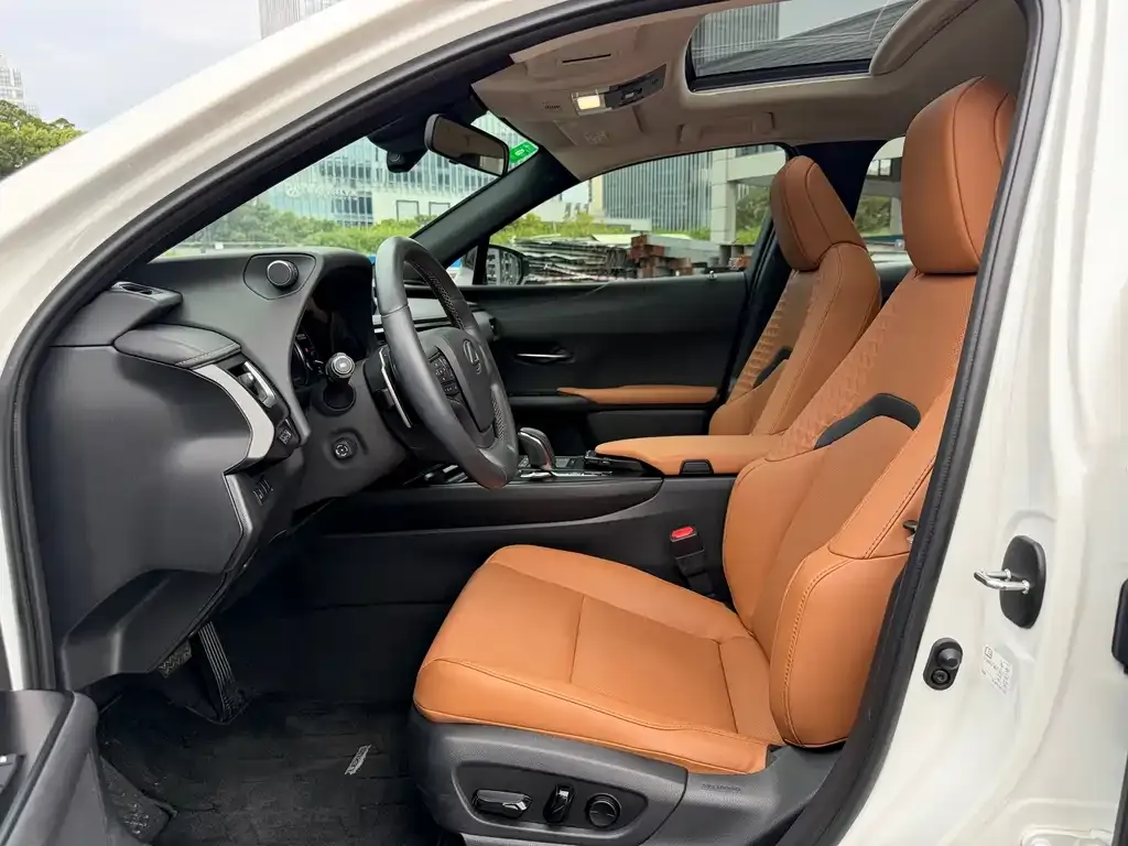 Lexus UX New Energy — фото 5