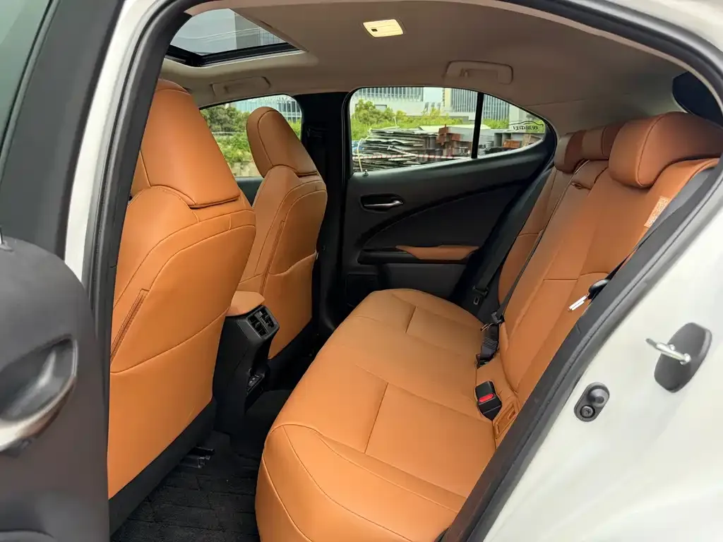 Lexus UX New Energy — фото 7