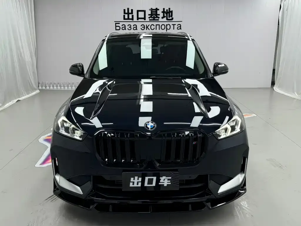 BMW X1 — фото 2
