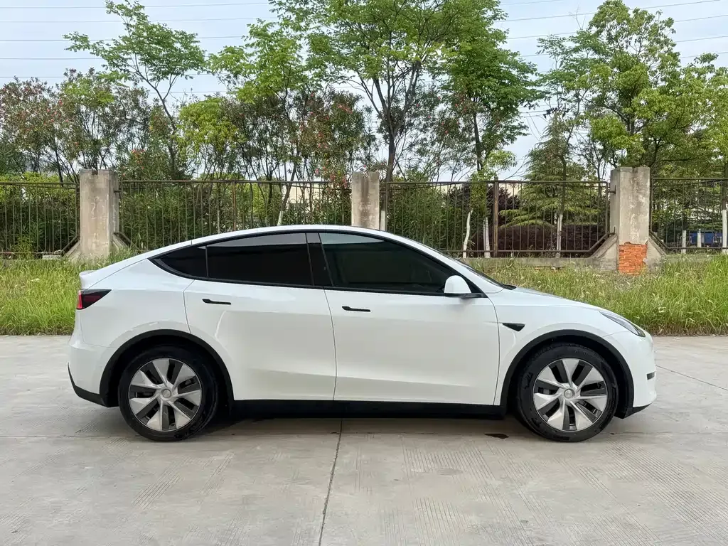 Tesla Model Y — фото 6