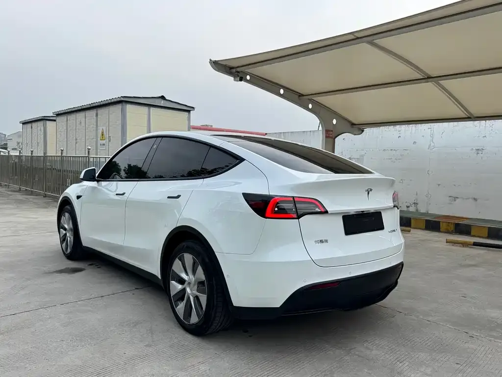 Tesla Model Y — фото 3