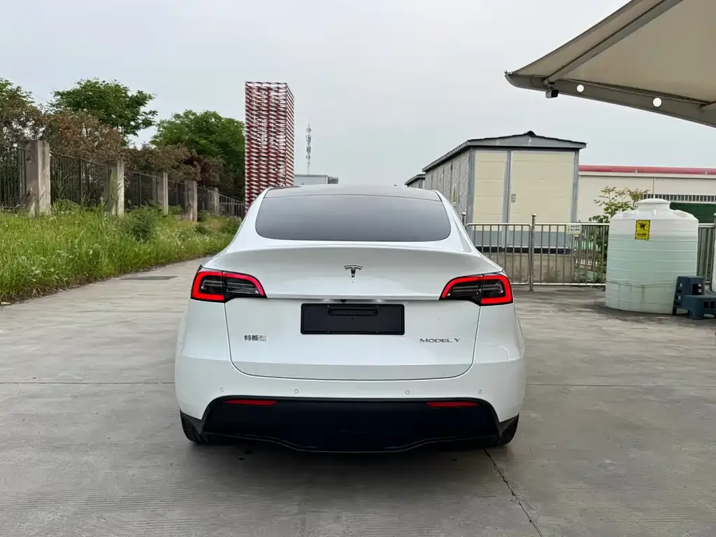 Tesla Model Y — фото 4