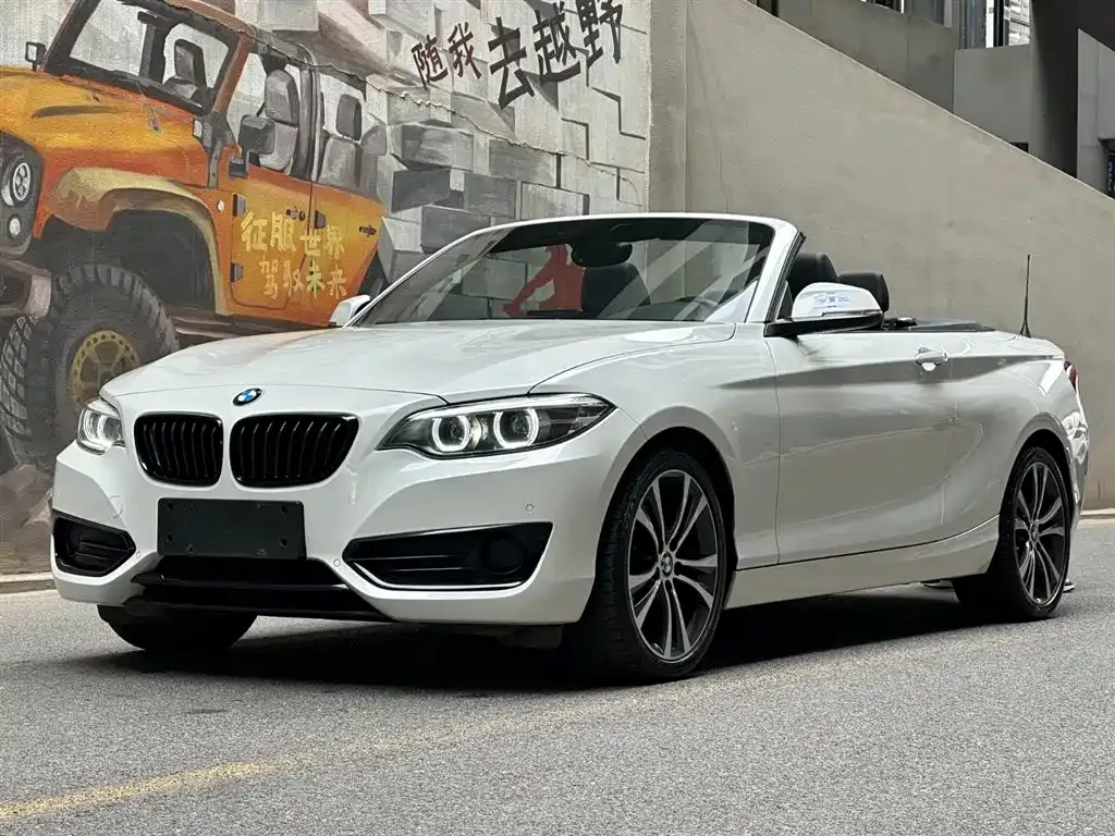 BMW 2 Series (Import) — фото 1