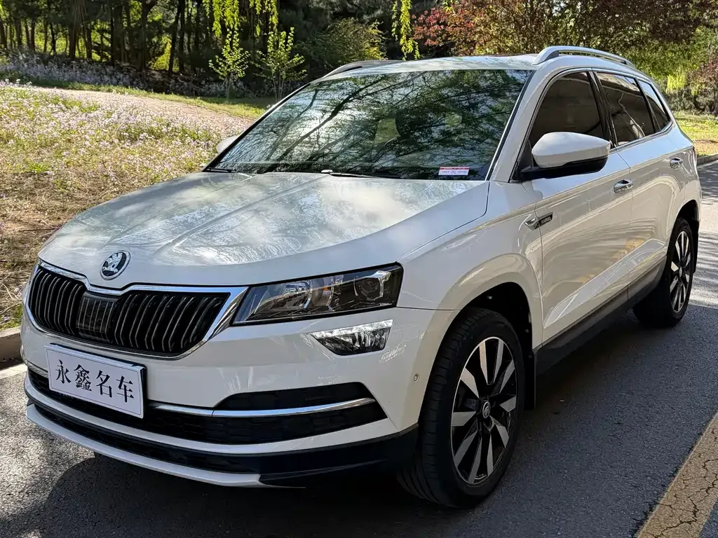 Skoda Karoq — фото 1