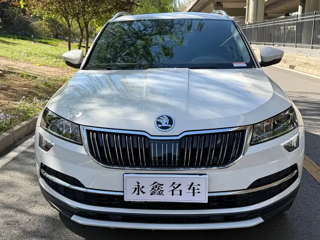 Skoda Karoq — фото 5