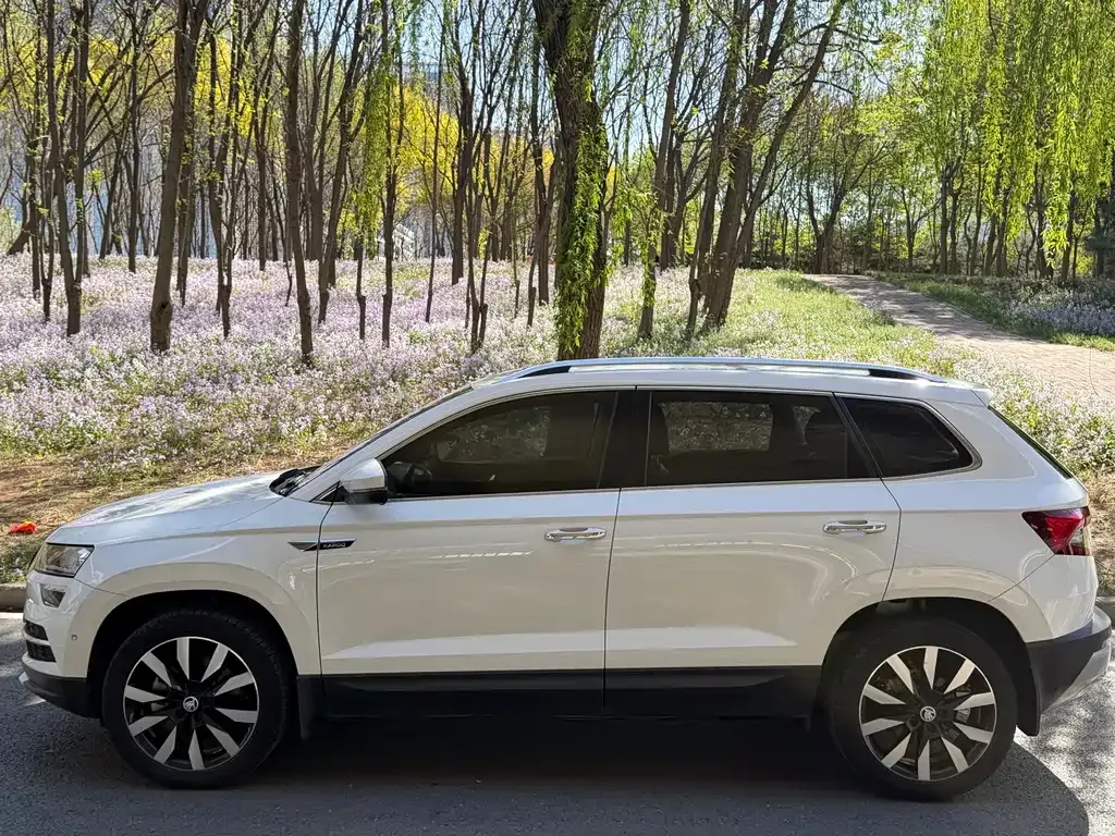 Skoda Karoq — фото 6