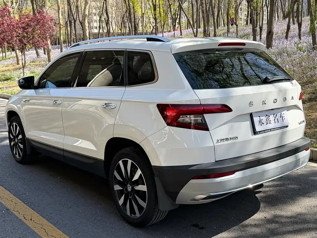 Skoda Karoq — фото 7