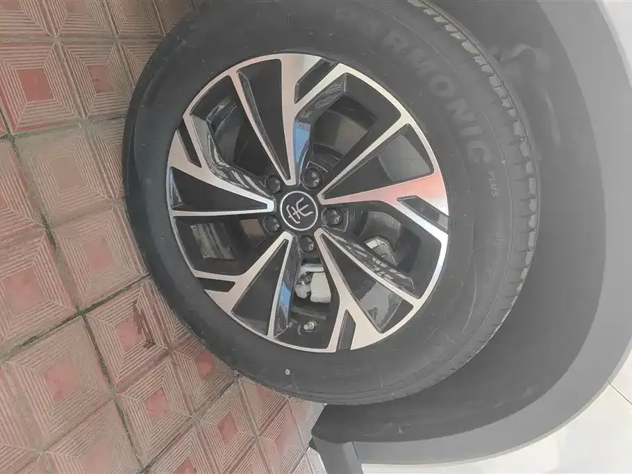 BYD Pro New Energy — фото 9