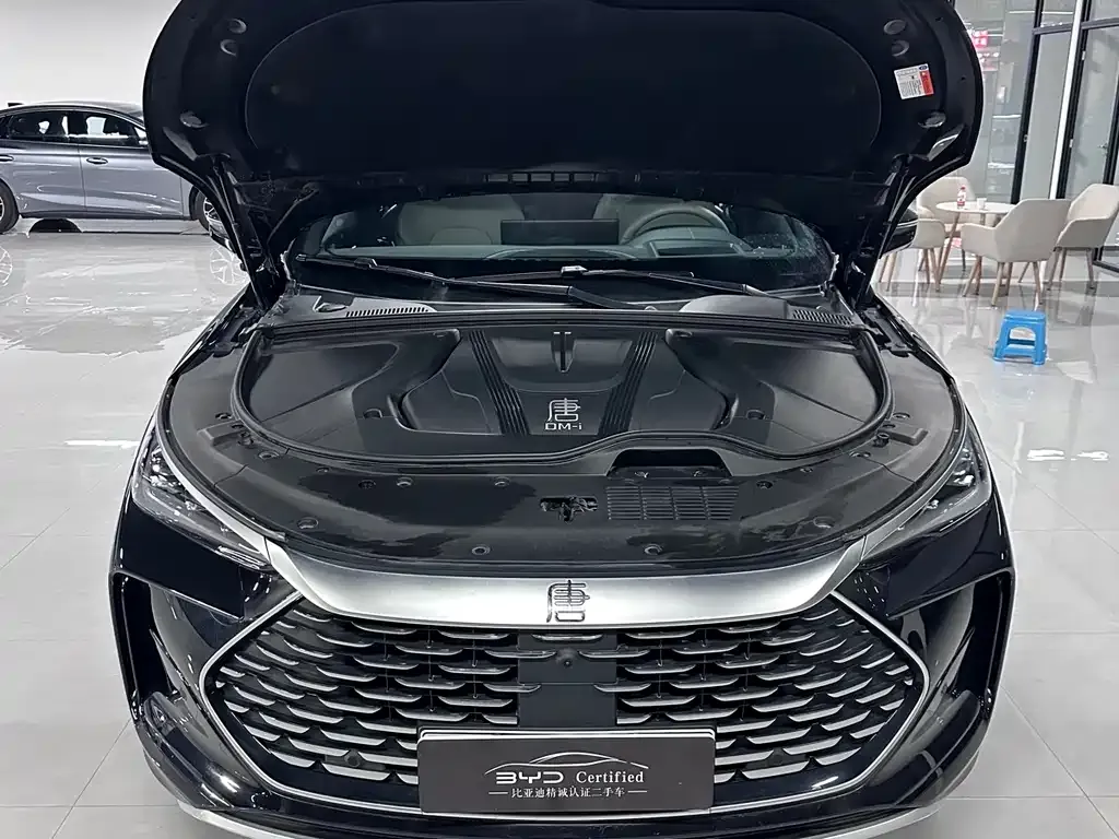 BYD Tang New Energy — фото 10