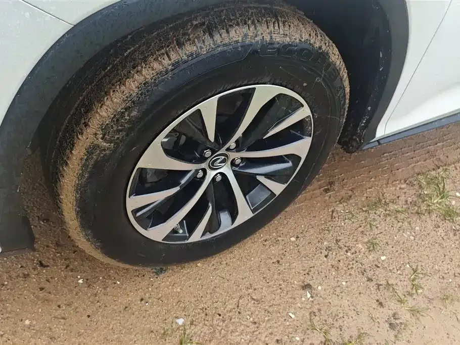 Lexus RX — фото 10