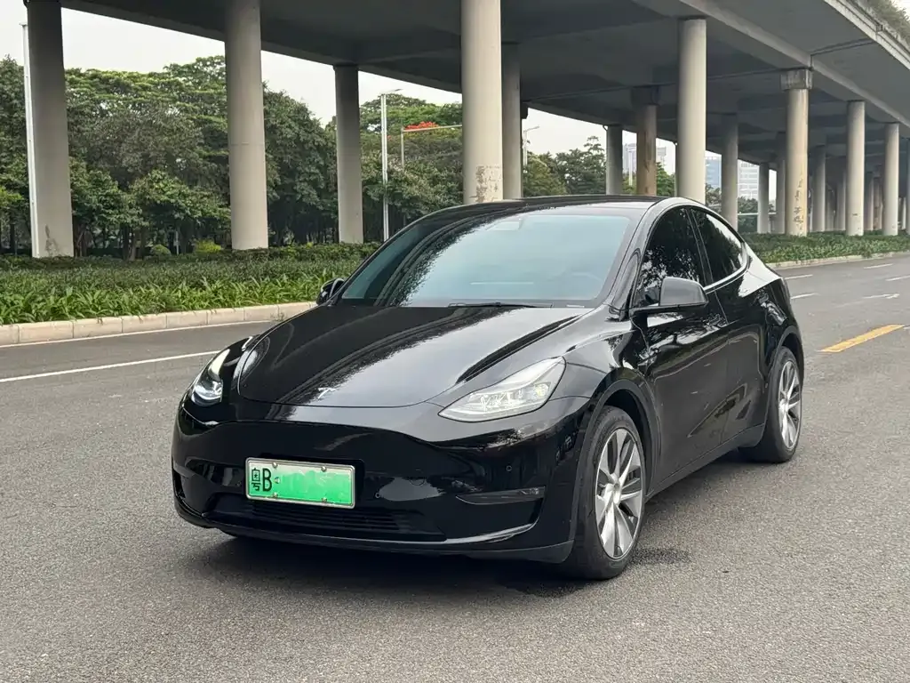 Tesla Model Y — фото 1