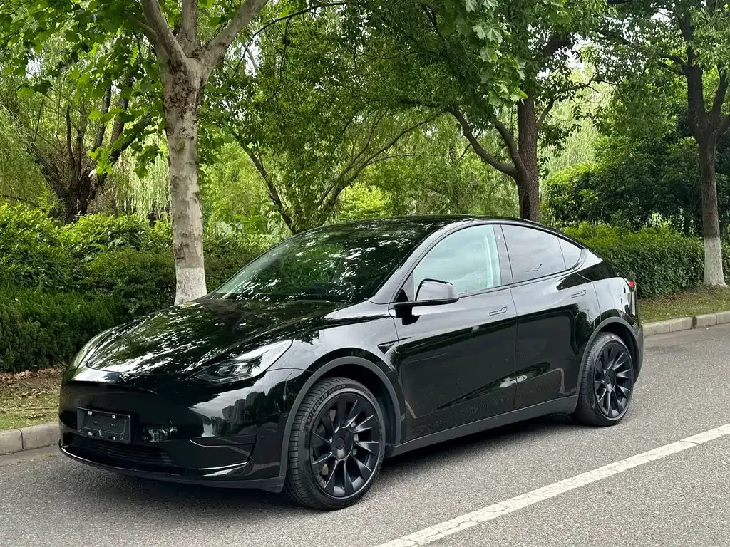 Tesla Model Y — фото 1