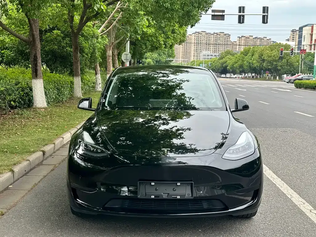 Tesla Model Y — фото 4