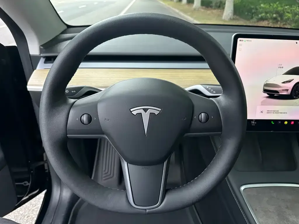 Tesla Model Y — фото 5