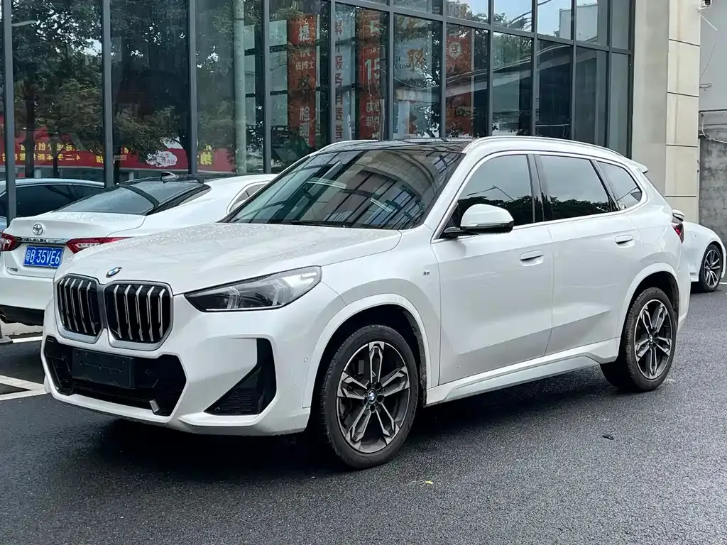 BMW X1 — фото 1