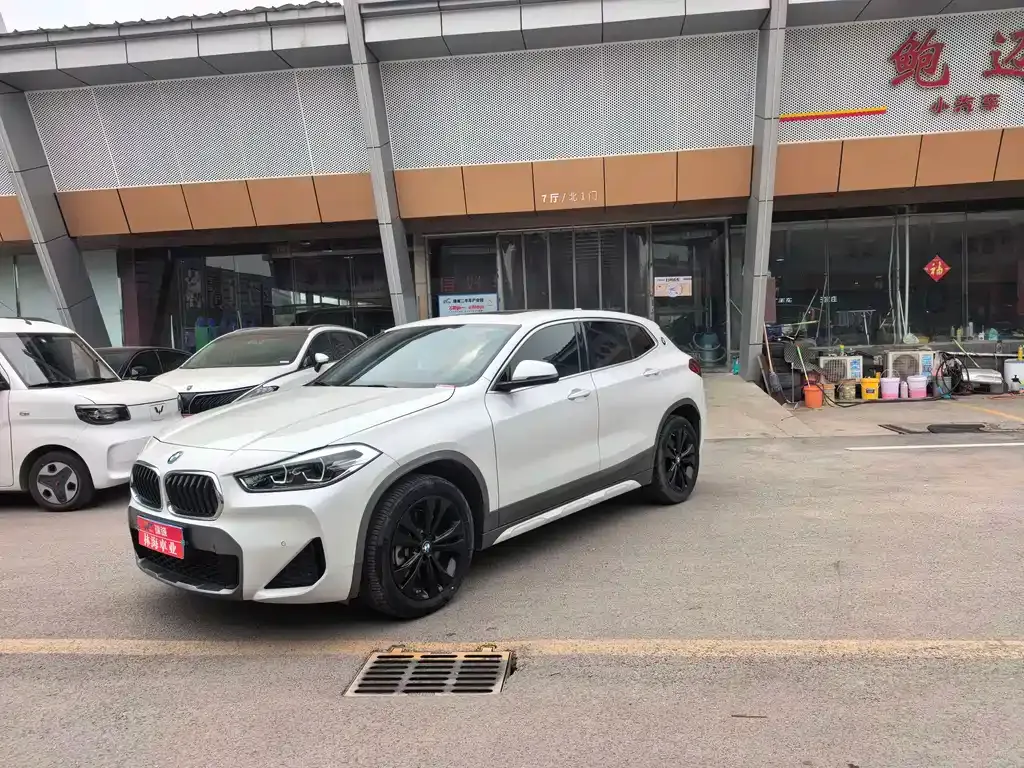 BMW X2 — фото 10