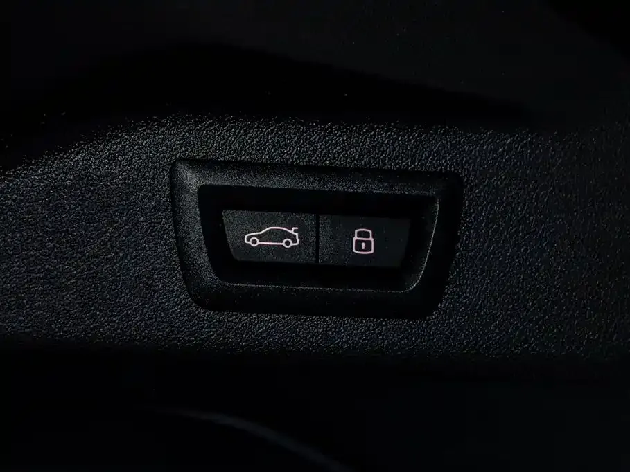 BMW X7 — фото 9