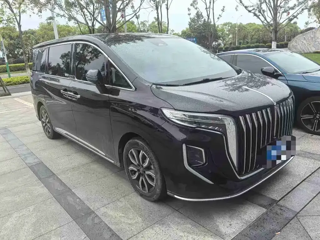 Hongqi HQ9 — фото 6