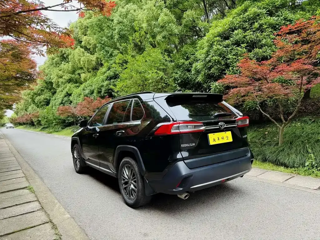 Toyota Wildlander — фото 10