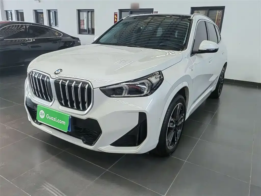 BMW X1 — фото 1