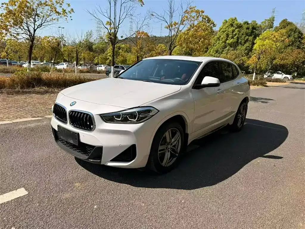 BMW X2 — фото 1