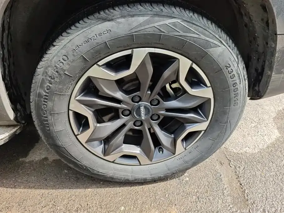Haval Big Dog — фото 10