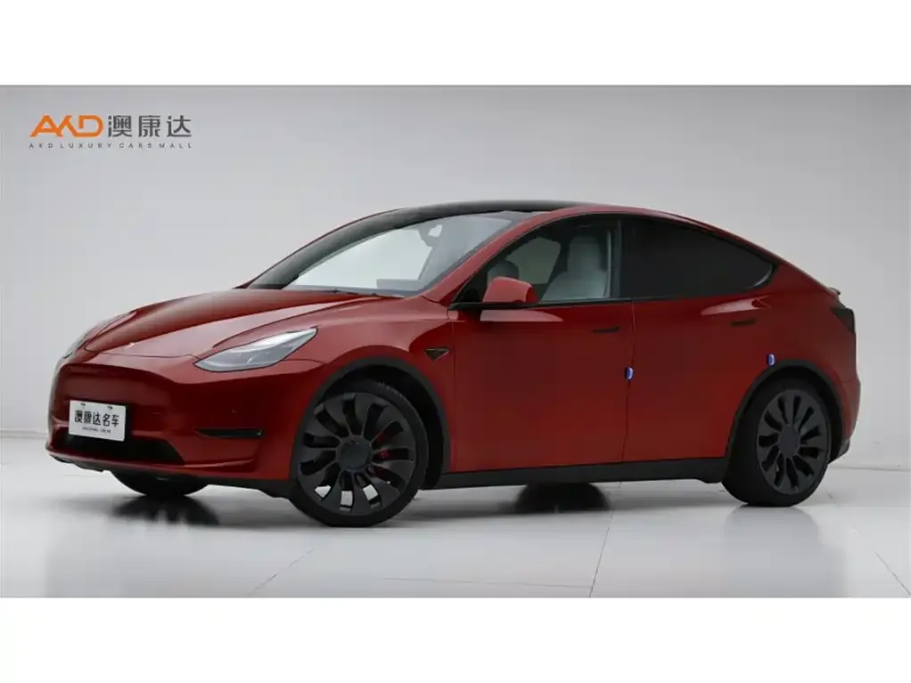 Tesla Model Y — фото 1