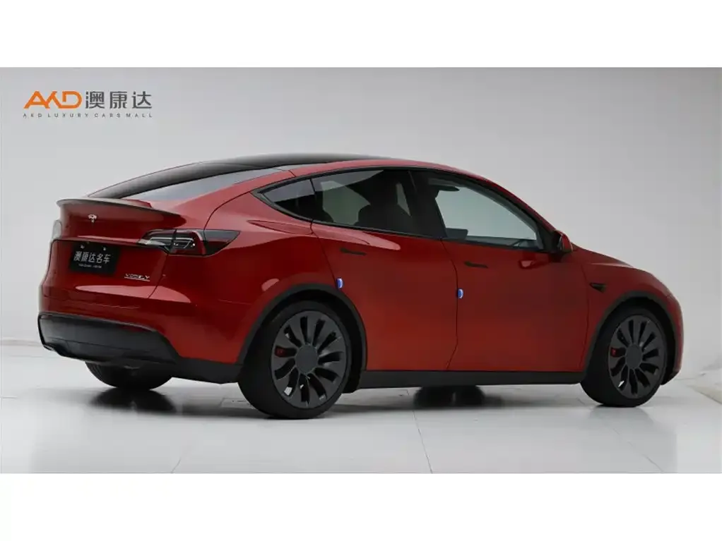 Tesla Model Y — фото 3