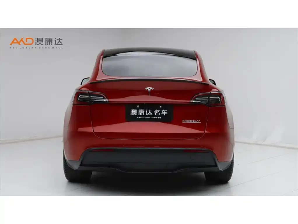 Tesla Model Y — фото 2