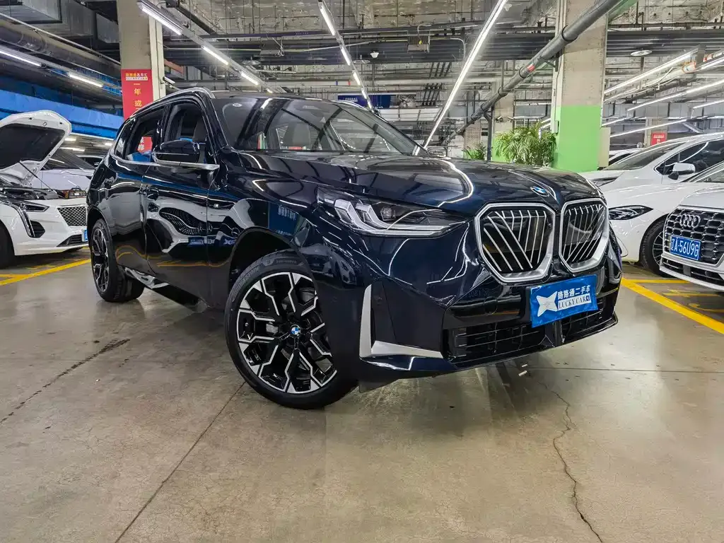 BMW X3 — фото 10
