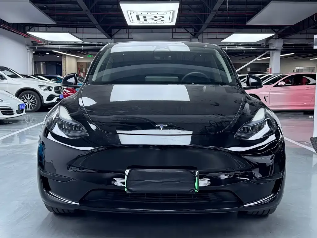 Tesla Model Y — фото 9